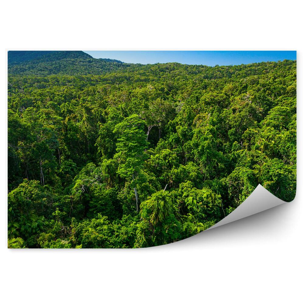 Fototapet pentru perete Cerul Pădurii Tropicale Înnoră Amazon