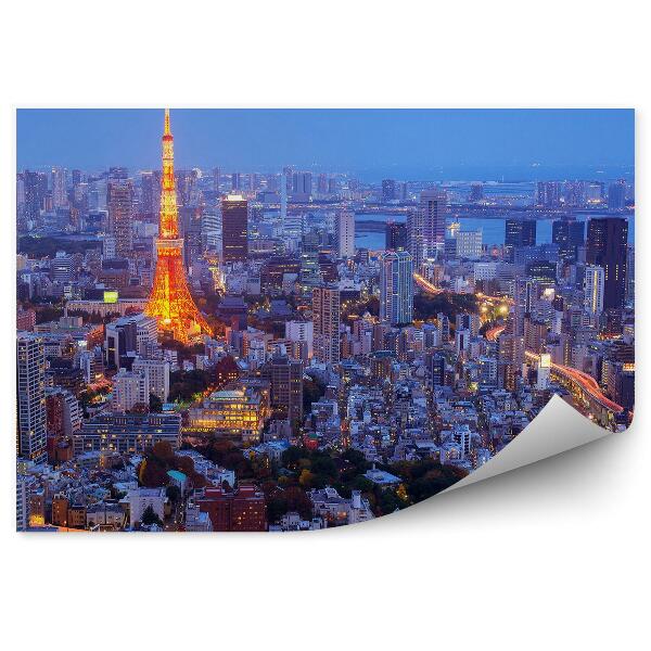 Decor fototapet Vedere Aeriană De Noapte A Tokyo