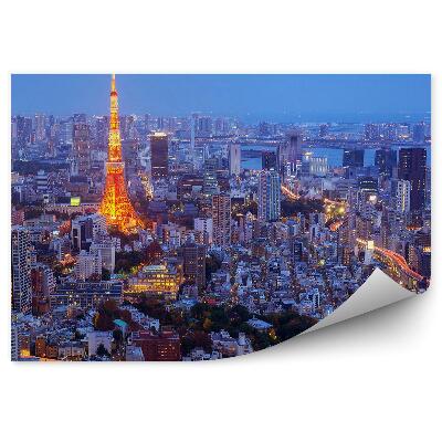Decor fototapet Vedere Aeriană De Noapte A Tokyo