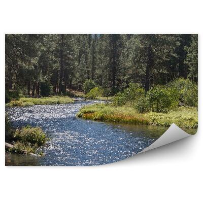 Fototapet perete Râu Brad De Crăciun Munte Natura