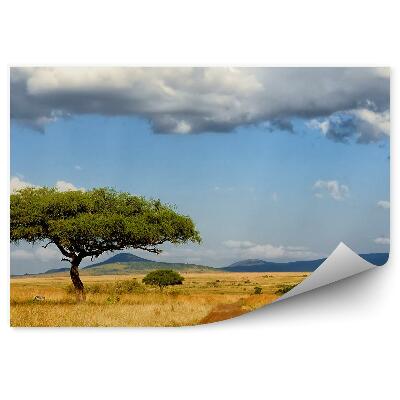 Fototapet perete Zebra Copaci Drum Iarbă Savana Cer Nori