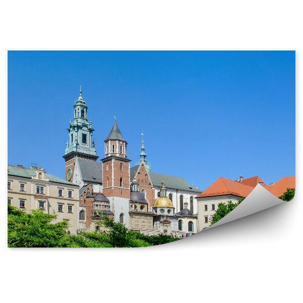 Fototapet Catedrala Wawel, Copaci, Plante, Cer, Cracovia