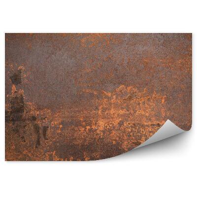 Fototapet vintage Metal ruginit