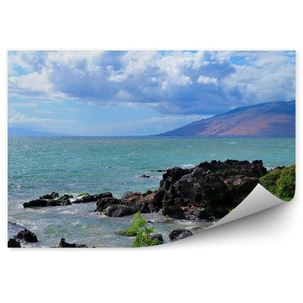 Fototapet pentru perete Junglă Stânci Ocean Munți Cer Nori Hawaii