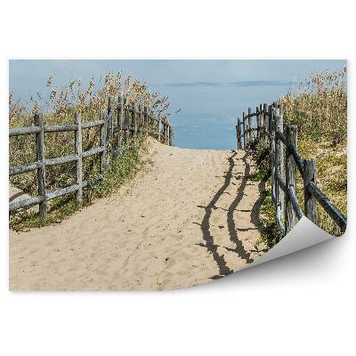 Fototapet pentru perete Plaja Sanbridge Iarba Plante Cer Nori Virginia