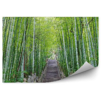 Fototapet perete Scari De Piatra Cu Copaci De Bambus