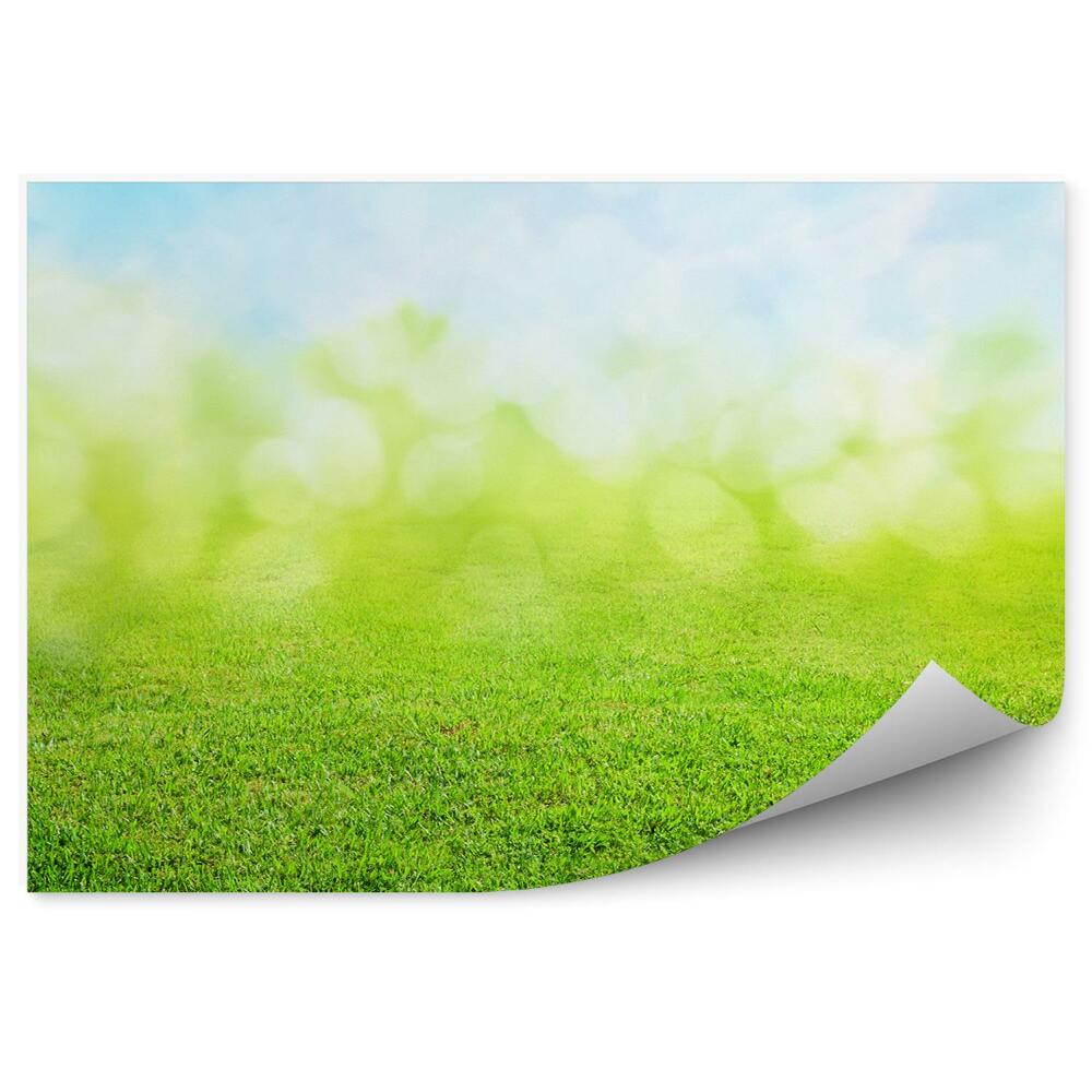 Fototapet Iarba Natura Verde Albastru Abstracție