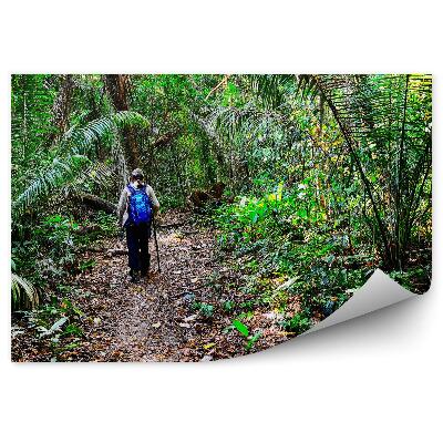 Fototapet Turismul Călător În Junglă Lasă Verde