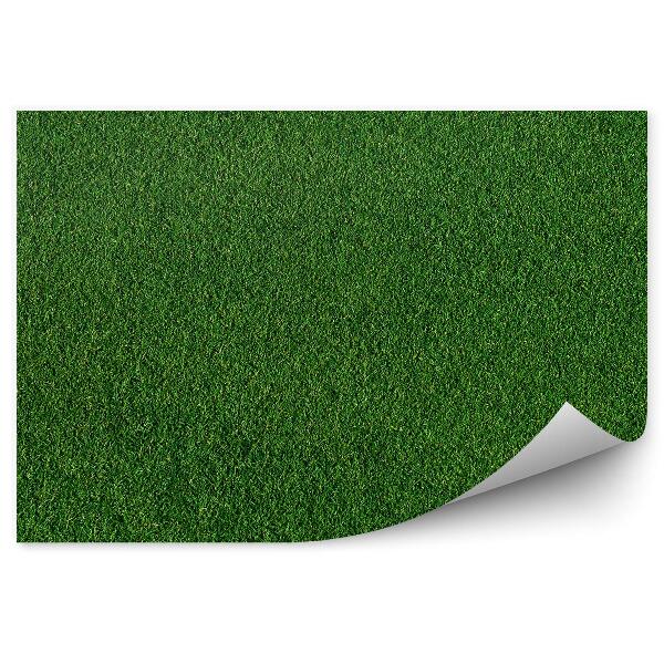 Fototapet perete Iarbă Artificială Verde