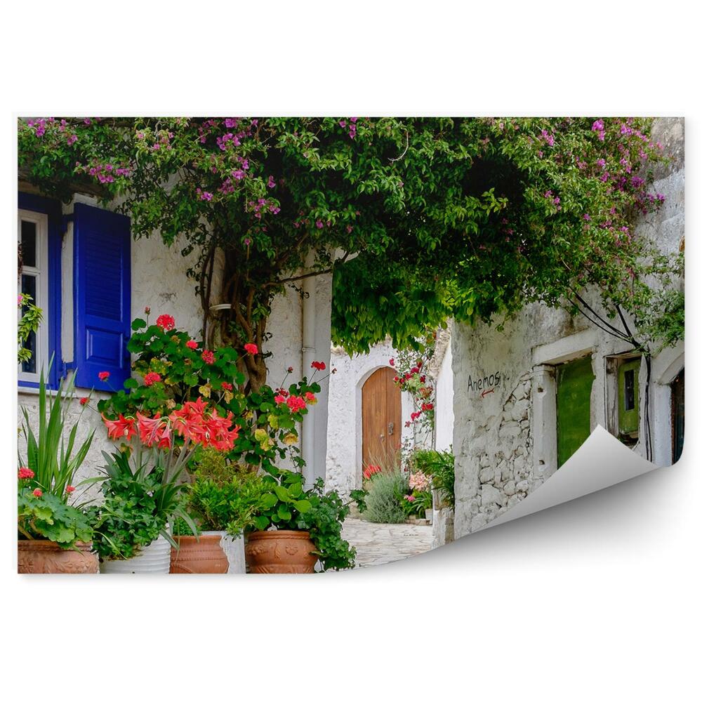Fototapet pentru perete Gradina Cladiri Ghivece Alee Corfu Grecia