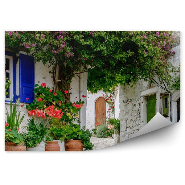 Fototapet pentru perete Gradina Cladiri Ghivece Alee Corfu Grecia