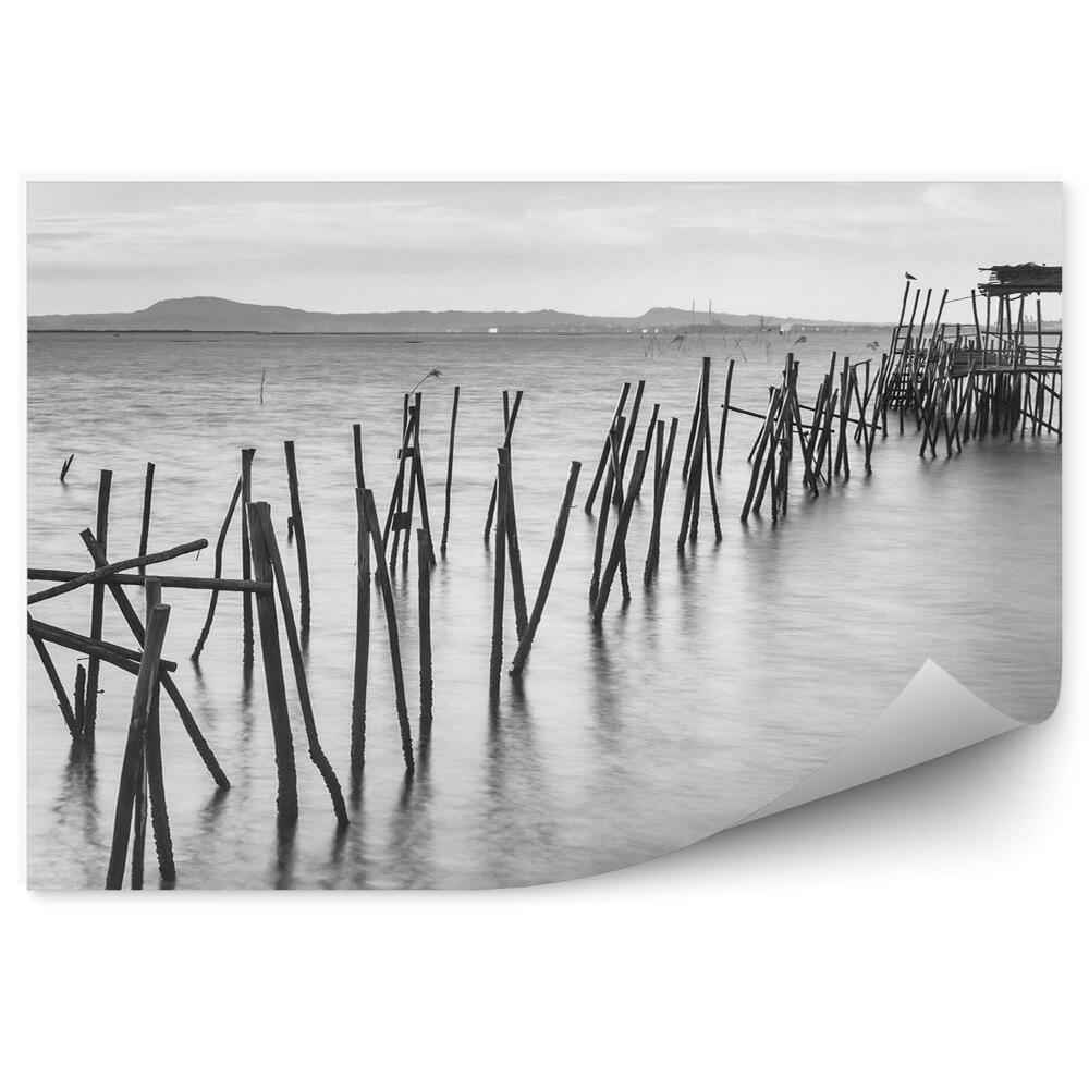 Fototapet pentru perete dig de lemn distrus mare fotografie alb-negru