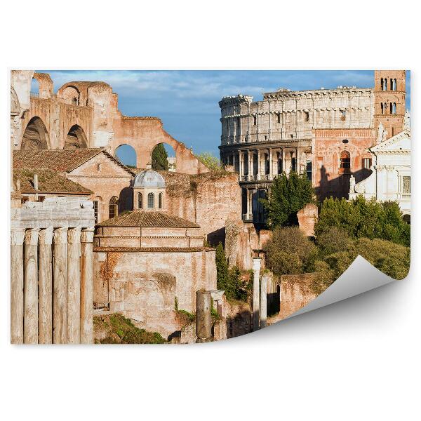 Fototapet pentru perete Italia orașul vechi monumente copaci roma