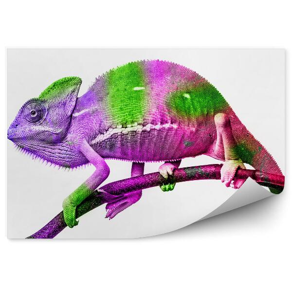 Fototapet Cameleon Colorat