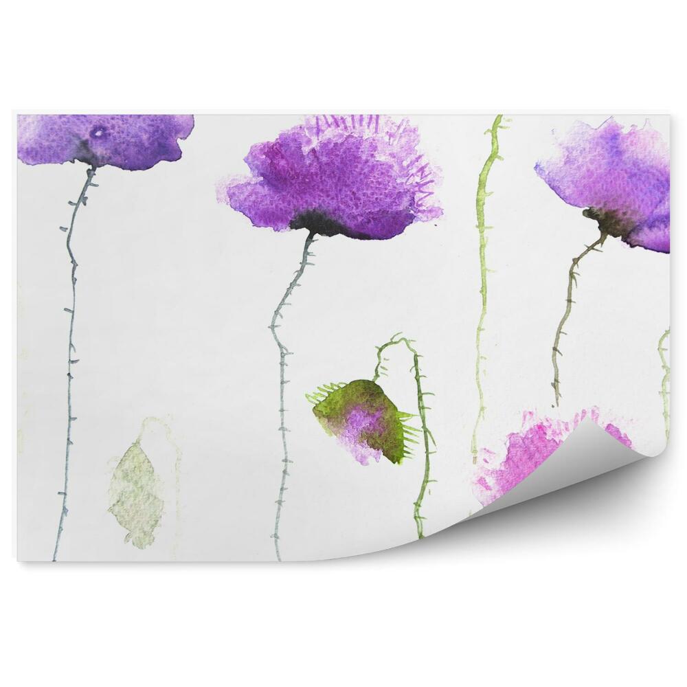 Decor fototapet Imagine cu flori de mac violet