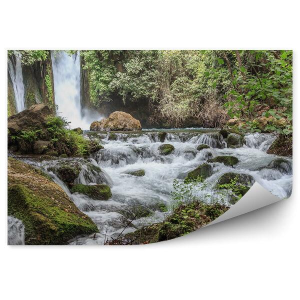 Fototapet perete Cascada De Dealuri Vegetație Forestieră Densă