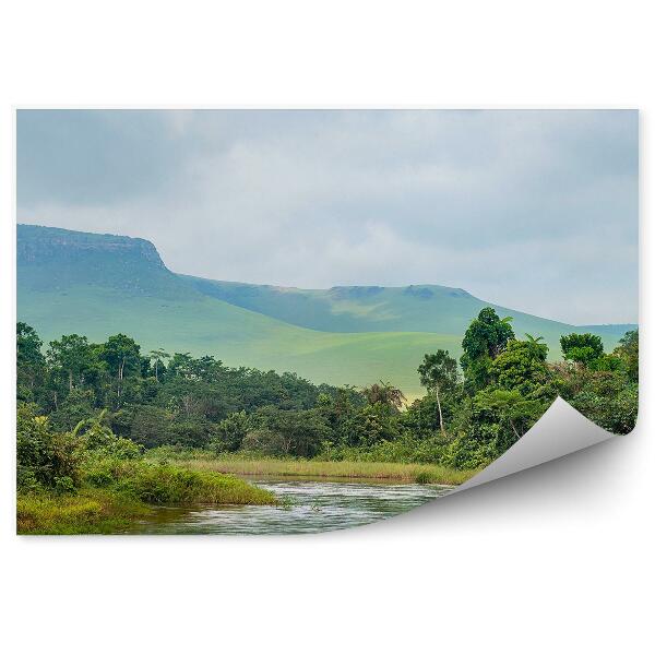 Fototapet pentru perete Râu În Natura Dealurilor Junglei