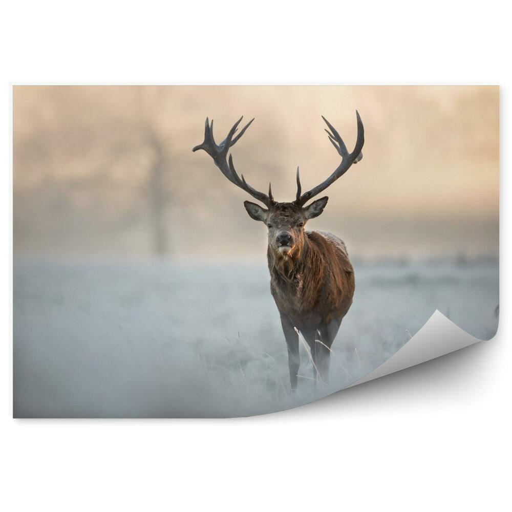 Fototapet vintage Deer in a winter landscape