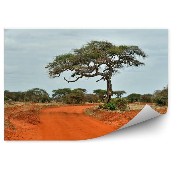 Decor fototapet Copaci Savana Tsavo Drum Cer