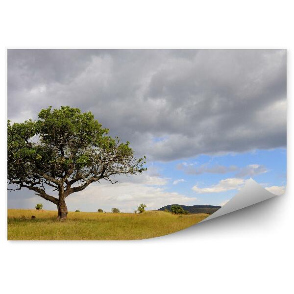 Fototapet Africa natura peisaj copac