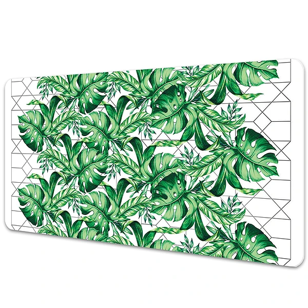 Protectie birou Monstera pe fundalul liniilor