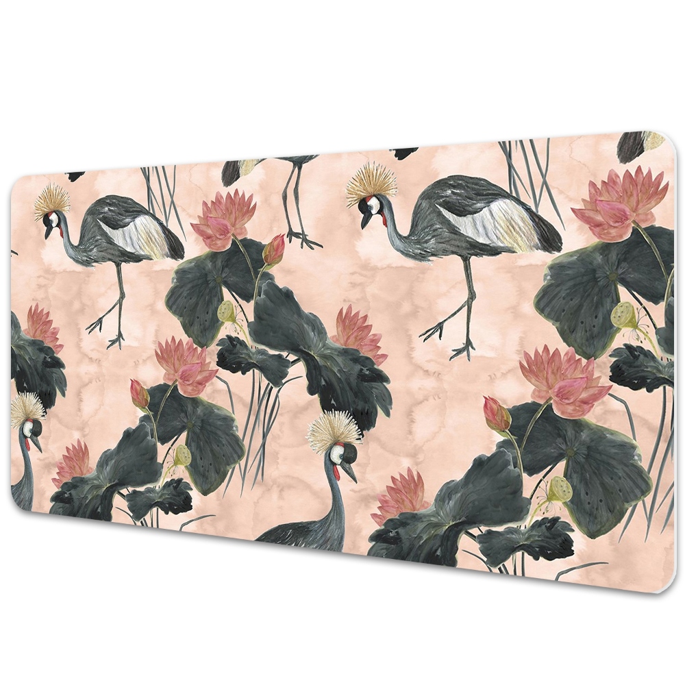 Mapa protectie birou Macarale asiatice