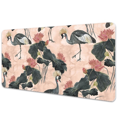 Mapa protectie birou Macarale asiatice