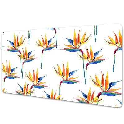 Mapa protectie birou Flori în timpul verii