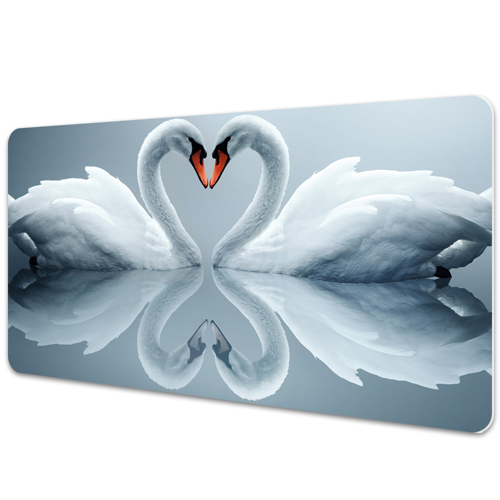 Mapa protectie birou Lebede pe apă