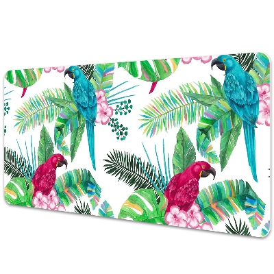 Mapa birou Papagali pe pictură murală