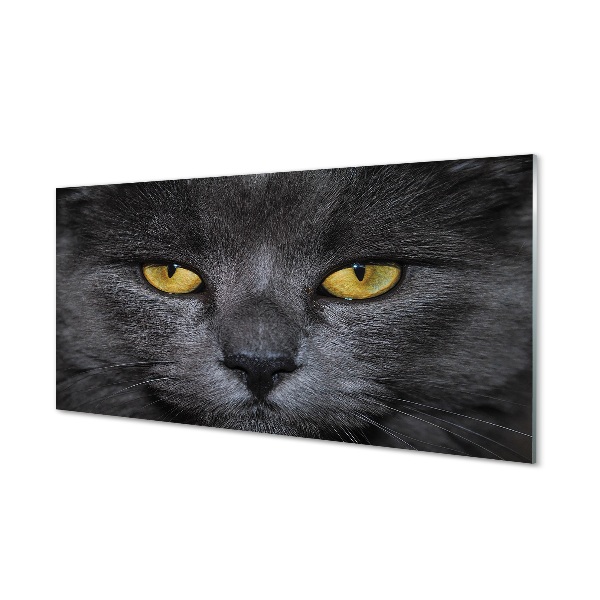 Tablou printat pe sticlă Pisica Neagra Cu Ochi Galbeni