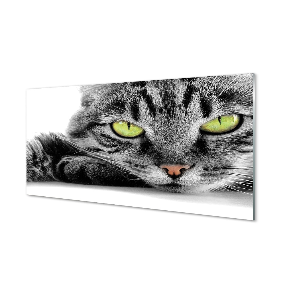 Fotografie imprimată pe sticlă Pisică Gri-Neagră Cu Ochi Verzi