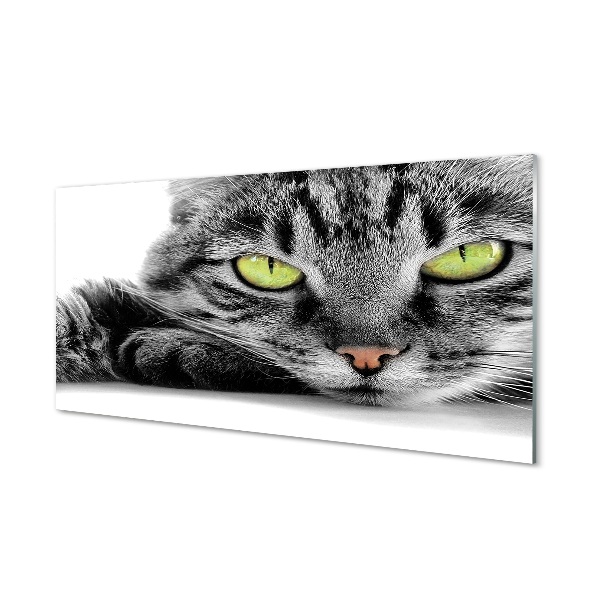 Fotografie imprimată pe sticlă Pisică Gri-Neagră Cu Ochi Verzi