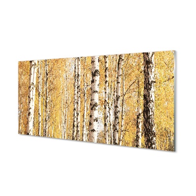 Tablou printat pe sticlă Mesteacăni De Toamnă