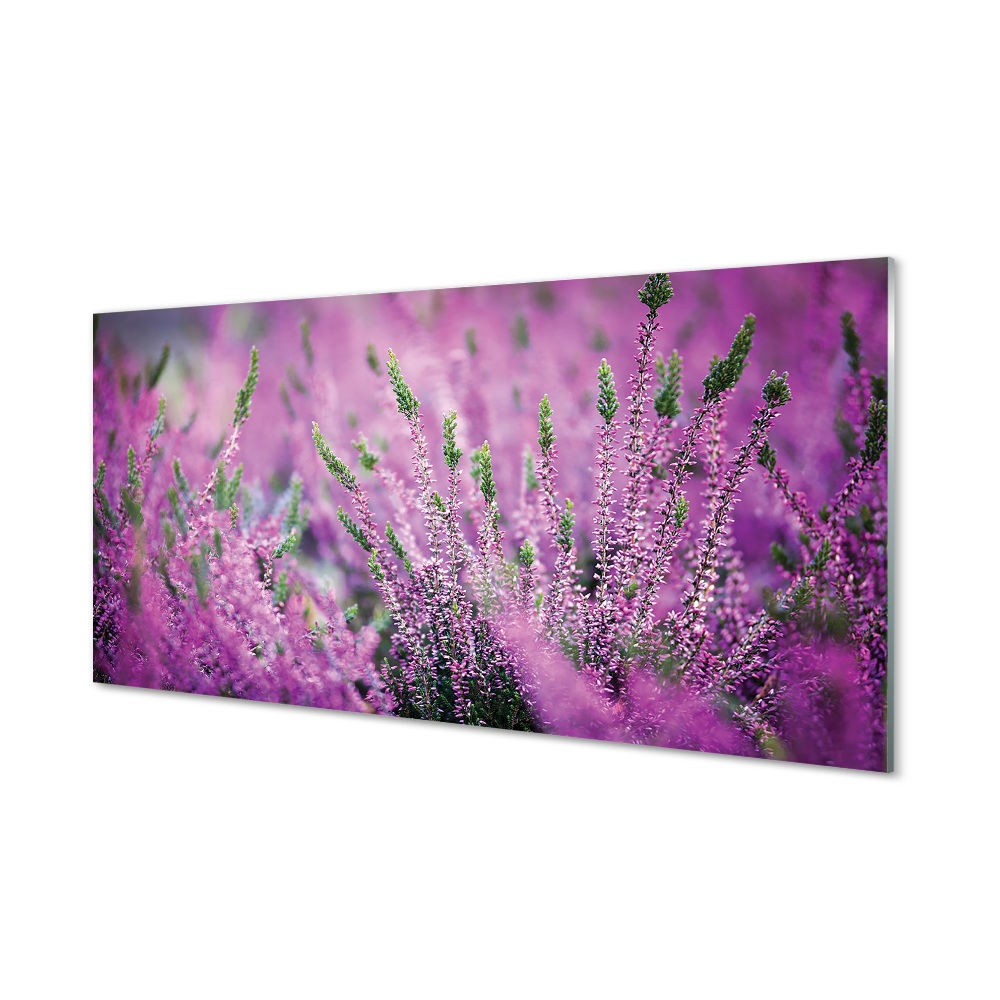 Tablou de sticlă Câmpul De Heather