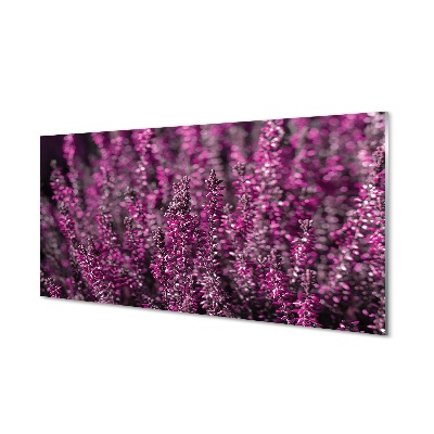 Fotografie imprimată pe sticlă Flori Roz De Erica