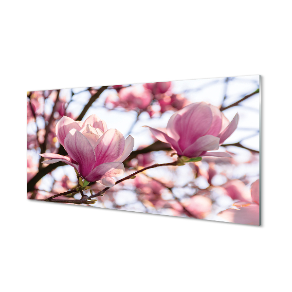 Tablou de sticlă Flori De Magnolie Pe Cer