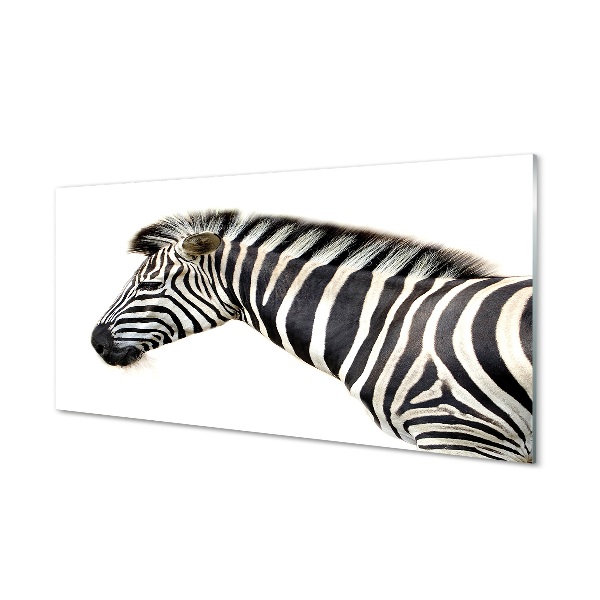 Tablou de sticlă Zebra Fundal Alb