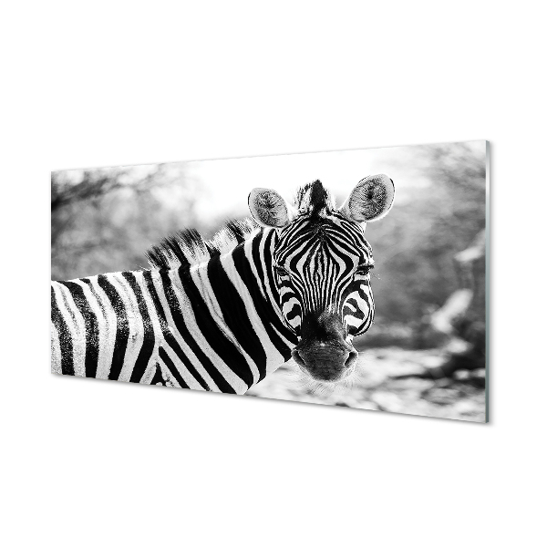 Tablou printat pe sticlă Zebra Alb-Negru