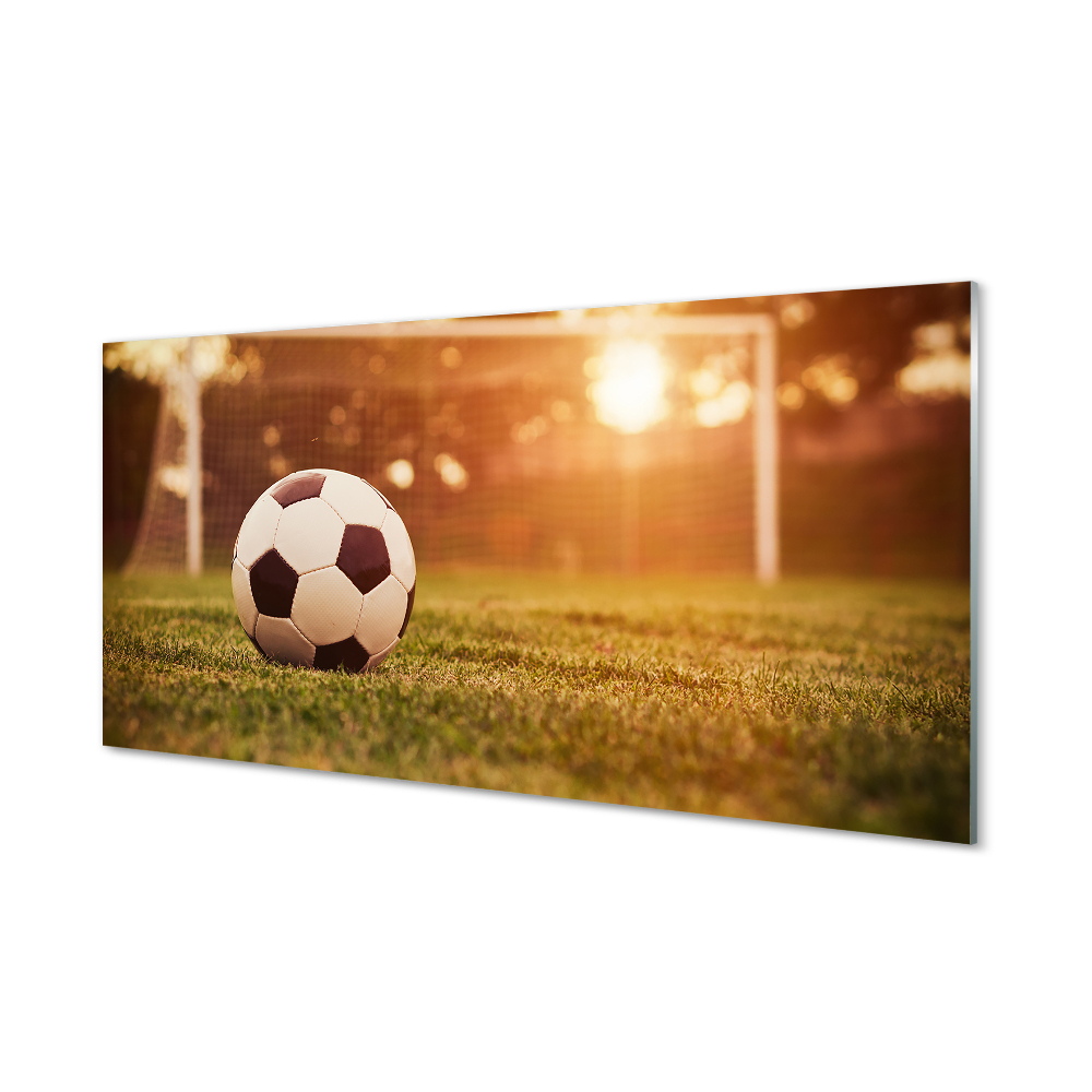 Tablou sticlă Gol Cu Minge Pe Teren