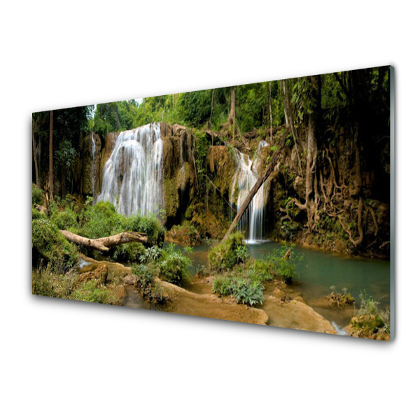 Transparenţă Cascada Râului Copaci