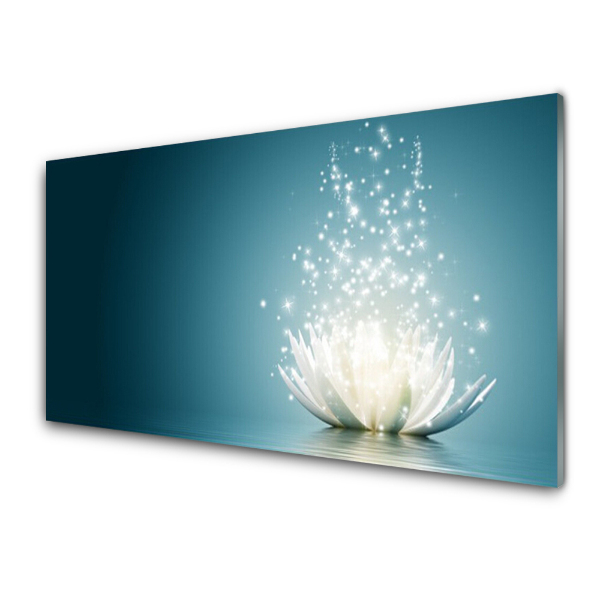 Transparenţă Planta De Flori De Lotus