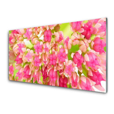 Transparenţă Muguri De Flori De Lotus