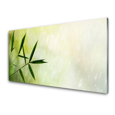 Transparenţă Ploaia De Frunze