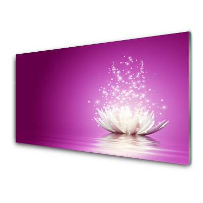 Transparenţă Floare De Lotus