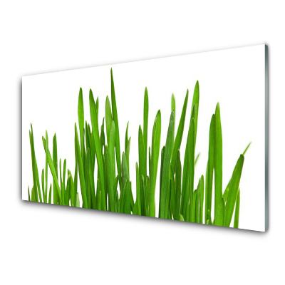 Transparenţă Iarbă Pentru Zid