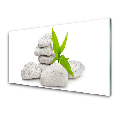 Transparenţă Planta De Pietre