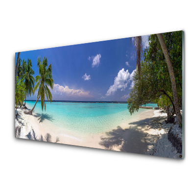 Transparenţă Sea Beach Palmieri