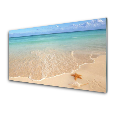 Transparenţă Vedere Pe Plajă Cu Stele De Mare