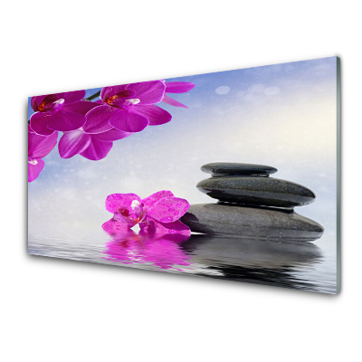 Transparenţă Flori De Orhidee Roz